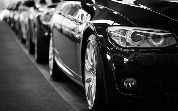 Automotive Trimming Stores Accounting Software