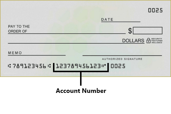 Where Is The Account Number On A Check?