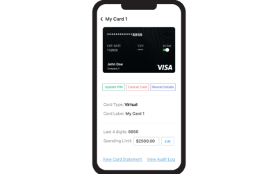 Virtual Card the Future of Debit and Credit Card