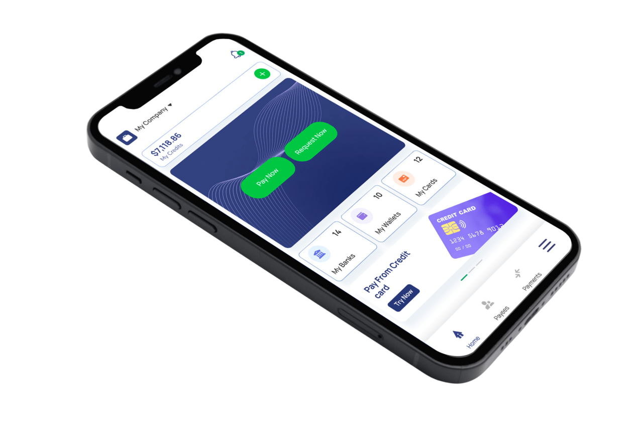 Online Check Writer Api Online Check Writer Online Digital Check