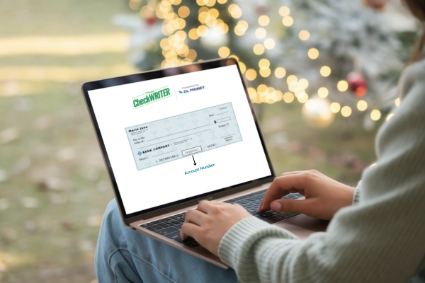 A Person Working On a Laptop Search Where Is The Account Number On Check, Secure Your Business Payment Easily, Send Payments Via ACH, Wire, and Checks
