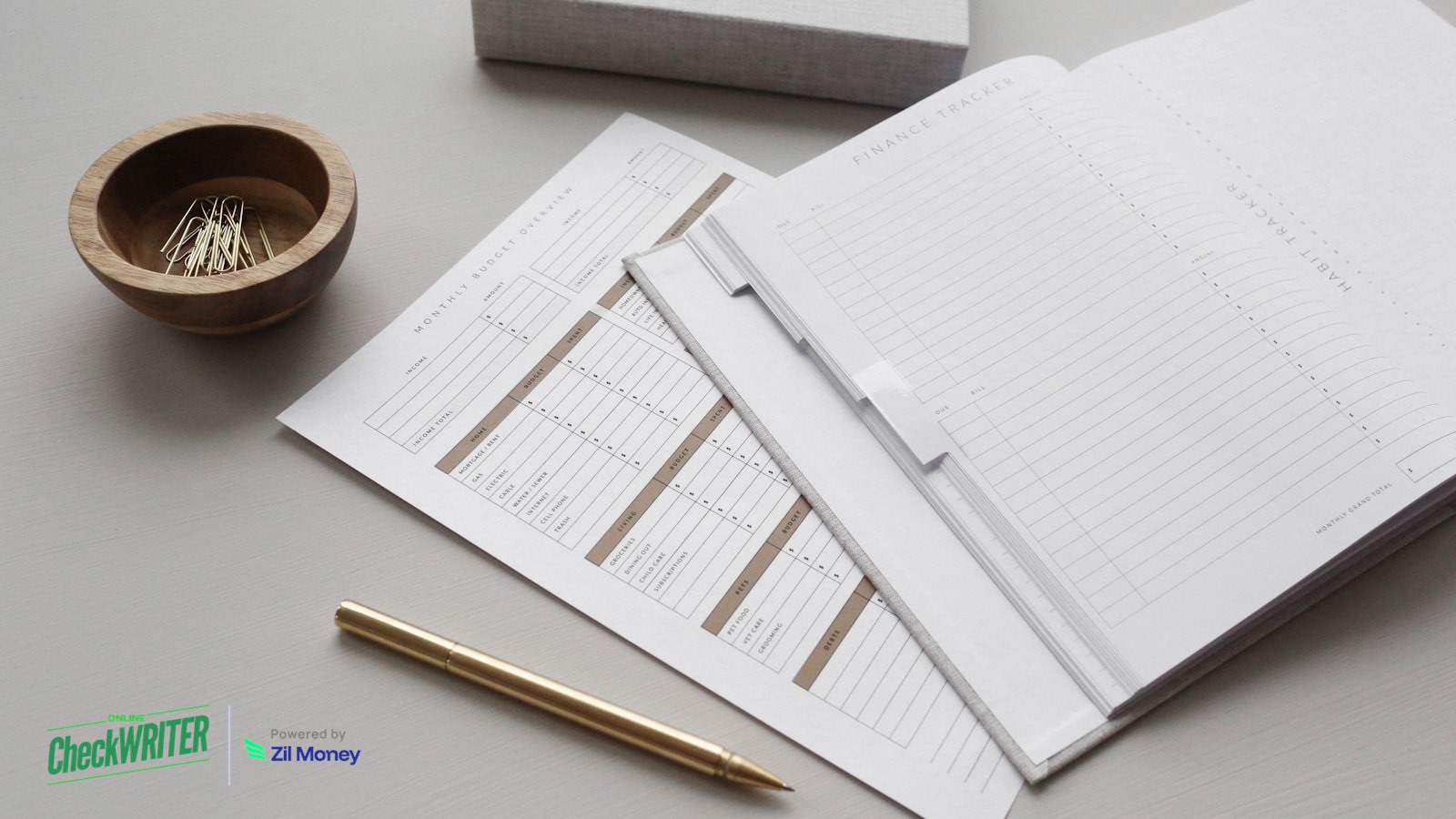 mail-a-check-online-ocw-finance-desk-v1 Mail a check online — finance professional reviewing monthly budget documents with OnlineCheckWriter.com